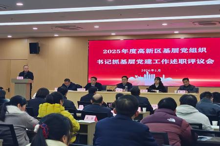 高新区2025年度基层党组织书记抓基层党建工作述职评议会召开
